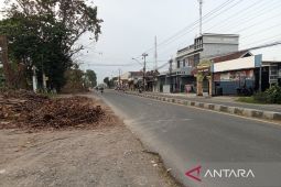 Pemkab Bantul mulai tebang pohon untuk proses pelebaran Jalan