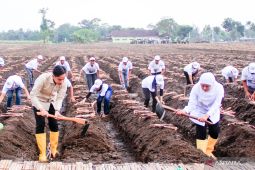 Khofifah siap wujudkan swasembada gula nasional dari Jawa Timur