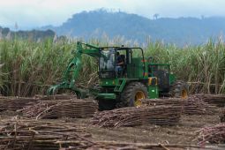 Menata ulang peta jalan swasembada gula