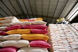 Bulog Gorontalo jamin ketersediaan stok dan kualitas beras