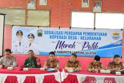 Pemkab Lampung Selatan pastikan 260 Kopdes Merah Putih telah terbentuk