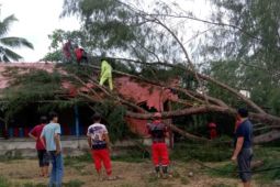 BPBD kerahkan tim tangani bencana angin kencang di Simeulue
