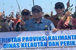 Pemprov Kalsel lakukan rehabilitasi 8.000 ha tanaman mangrove selama 2025