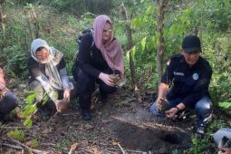 Mahasiswa Australia tertarik keunikan Tahura Trumon Aceh Selatan