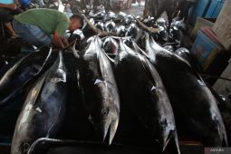 BMKG prakirakan Rabu, Bali diguyur hujan dan sebagian besar daerah berawan