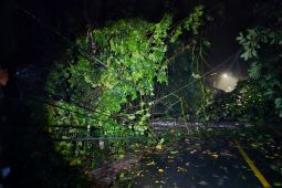 PLN ULP Soasiu gerak cepat pulihkan gangguan listrik akibat cuaca ekstrem