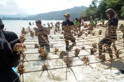 Pemkab Trenggalek perluas kawasan konservasi laut untuk destinasi selam