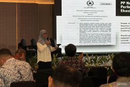 KLH: Terbitnya PP Perlindungan Mangrove perkuat pendataan