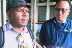 Pengusaha Papua manfaatkan bantuan bibit ayam usaha ternak