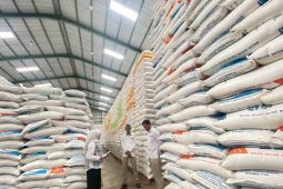 Bulog Makassar: Serapan beras telah melampaui target 43.913 ton