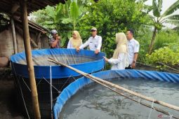 Pemkab Lamongan kembangkan potensi ekonomi desa lewat Gemerlap