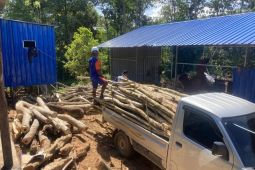 Menanam Asa Meraih Harapan, dari Biomassa untuk Bangsa