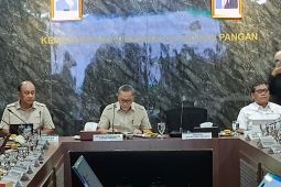 Menko Zulhas: Penerima MBG hingga hari ini capai 5,5 juta orang