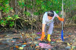 HUT ke-23 PLN UIW NTB, Pokdarwis Jerowaru gelar aksi bersih pesisir