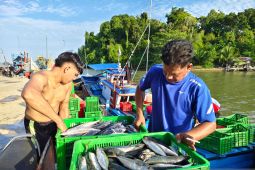 Tangkapan ikan nelayan di PPI Aceh Jaya capai 300 ton lebih per bulan