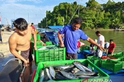 Pasokan ikan nelayan di PPI Rigaih Aceh Jaya capai 300 ton per bulan