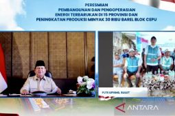 Prabowo senang Pulau Lipang di Sangihe masuk listrik