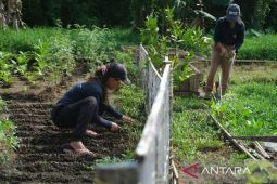 Pembinaan keterampilan kerja WBP di Lapas Perempuan