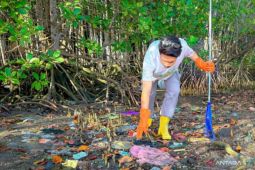 PLN bersama Pokdarwis bersih pantai dan tanam mangrove di Lotim