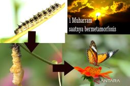 Selalu menjadi diri yang baru, tidak hanya di tahun baru