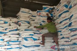 Disperta Sampang perkuat pengawasan distribusi pupuk bersubsidi