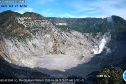 Aktivitas Gunung Tangkuban Parahu sempat naik minggu ini