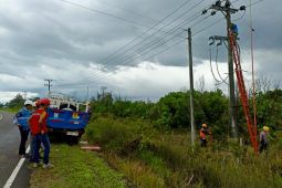 PLN UP3 Bangka gelar care for asset tingkatkan keandalan jaringan dan cegah potensi bahaya
