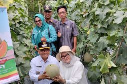 Kecamatan Pugaan siapkan lahan 200 hektare untuk ketahanan pangan