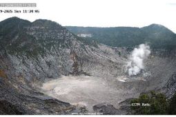 Aktivitas Tangkuban Parahu hari ini tak meningkat pascagempa sesar Lembang