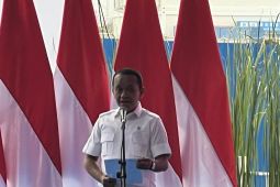 Pabrik baterai EV Karawang bisa untuk 300 ribu mobil