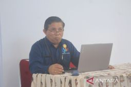 BPS Jayawijaya sebut PDRB menurut lapangan usaha terus meningkat