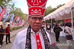 Pemprov NTT selidiki orang yang menjual Pulau Sumba di situs daring