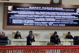 Wagub Lampung sebut Silpa 2024 jadi sumber pembiayaan APBD 2025