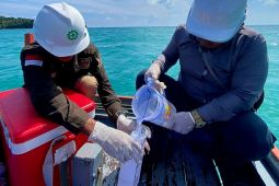 DLH Natuna ambil sampel air di sejumlah lokasi untuk mengetahui kualitas lingkungan