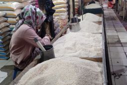 Harga beras kualitas medium di Lebak stabil