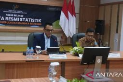BPS: Babel alami inflasi tahunan 0,99 persen