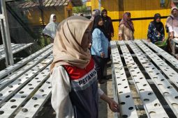 Pertamina optimalkan "Kami Penting" dukung ketahanan pangan masyarakat di Pangkalpinang