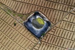 Upaya petani di lereng Gunung Arjuno antisipasi musim kemarau
