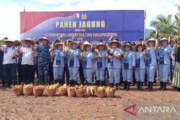 Danlanud Hasanudin panen jagung di Maros dukung ketahanan pangan