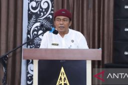 Balita di Bangka meninggal dunia akibat demam berdarah dengue