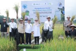 PAI kenalkan teknologi pertanian ramah lingkungan yang berkelanjutan dan produktif