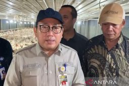 Kementan pastikan tindak pihak yang tidak patuhi aturan HPP ayam hidup