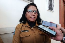 Dinkes Jayawijaya dorong 40 puskesmas sukseskan PKG bagi anak sekolah