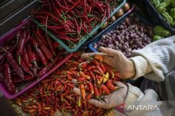 Harga pangan Kamis ini, cabai rawit Rp60.720/kg dan bawang merah Rp42.604/kg