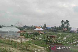 Pemkab Kobar pastikan persiapan PEDA KTNA XIV Kalteng telah 80 persen
