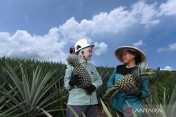 Jalan hijau Vale dari Wasuponda ke Panggung Asia