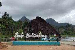 PLN UID Kalbar raih tiga penghargaan platinum di Nusantara CSR Awards 2025