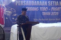 Wagub Jambi:  Pencak silat seni beladiri harus dilestarikan