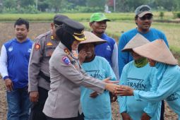Polres Bantul libatkan petani tanam jagung untuk ketahanan pangan