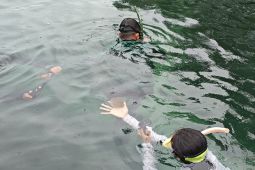 Berenang bersama ubur-ubur langka tidak menyengat di Danau Kakaban